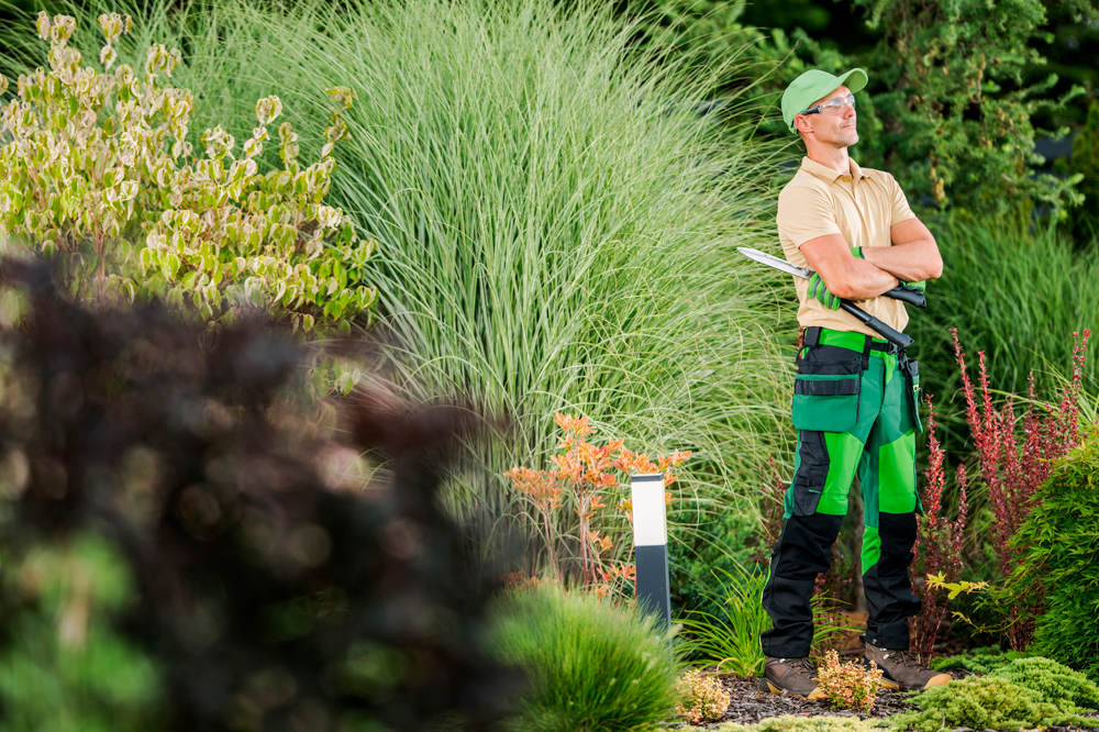 landscaping s1