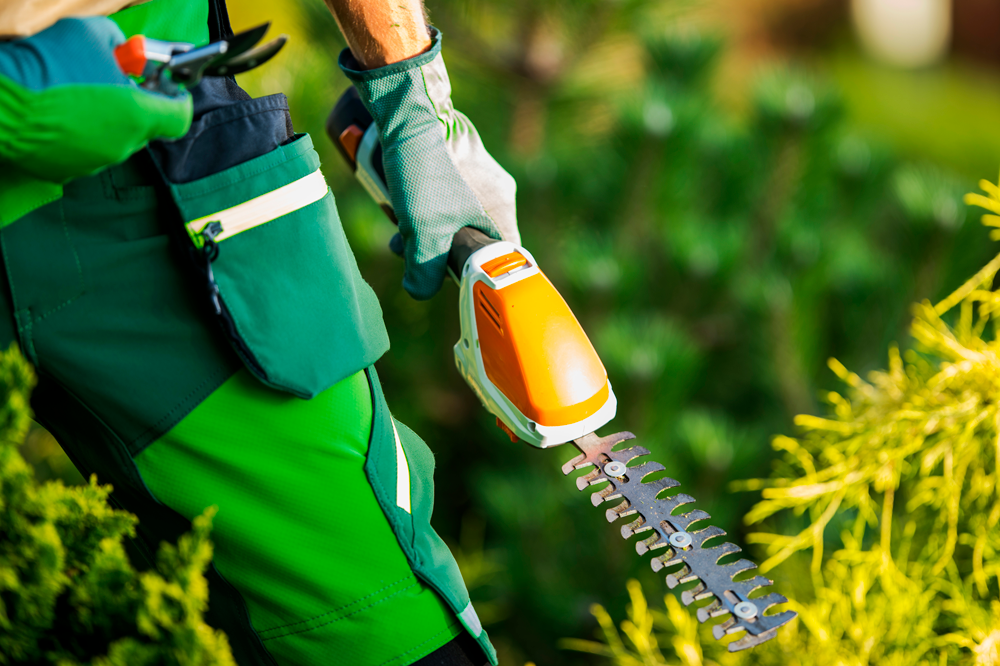 landscaping s2