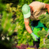 landscaping s3 landscaping s3